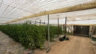 Rustic Finca in Níjar photo 22