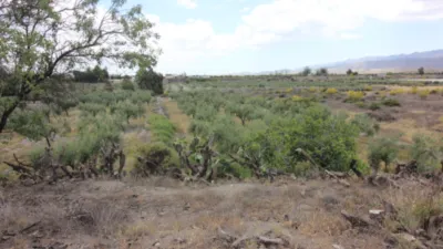 Rustic Finca in Tabernas photo 50