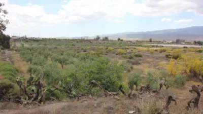 Rustic Finca in Tabernas photo 51