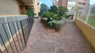 Apartamento en alquiler en Avenida de la República Argentina, 5, Platja de Ponent (Benidorm)