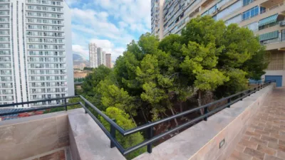Apartamento en alquiler en Avenida de la República Argentina, 5, Platja de Ponent (Benidorm)
