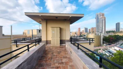 Apartamento en alquiler en Avenida de la República Argentina, 5, Platja de Ponent (Benidorm)