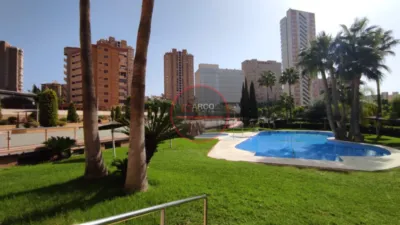 Apartment on Carrer Torre de Les Mançanes photo 16