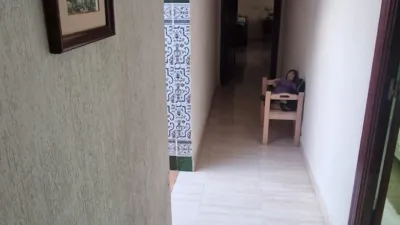 House in Pinar Alto-Crevillet-Menesteo photo 34