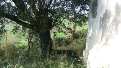 Finca rústica en Karrantza Harana photo 5