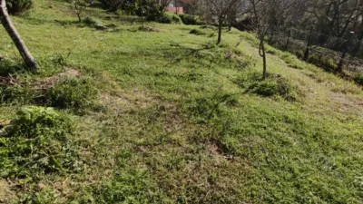 House on the Cantabrian Motorway photo 10