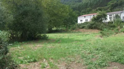 Rustic finca on Avenida La Ran, No. Sn photo 6