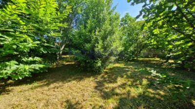 Detached house on Calle San Mames de Meruelo photo 11