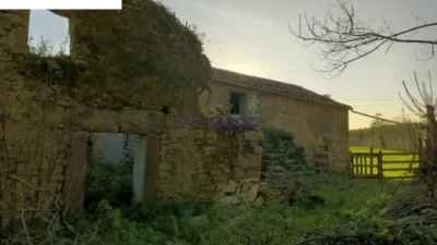 House on Garzón Street photo 12