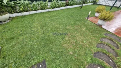 Detached house in Barrio del Castillo photo 3