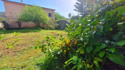 Single-family home in Barrio del Arnuero Palacio photo 12