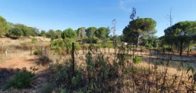 Rustic farm in Valverde del Camino