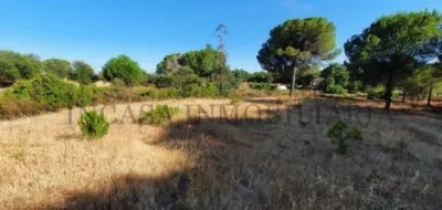 Rustic farm in Valverde del Camino photo 3