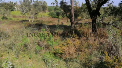 Rustic farm in Navahermosa photo 3