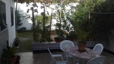 House in the Centre photo 2