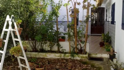 House in the Centre photo 3