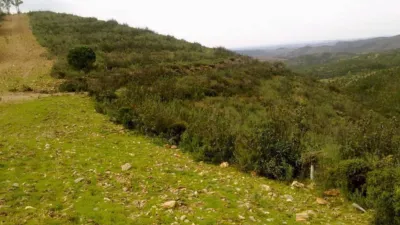 Rustic farm in Valverde del Camino photo 2