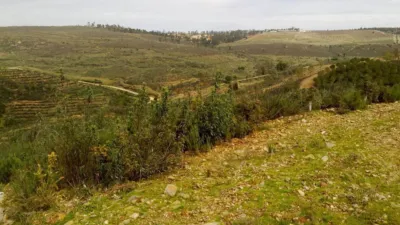 Rustic farm in Valverde del Camino photo 3