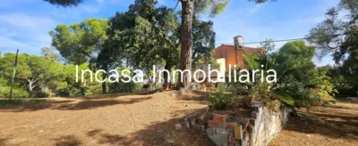 Chalet in Los Pinos photo 20