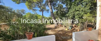 Chalet in Los Pinos photo 6