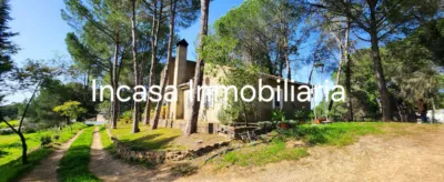 Chalet for sale in Los Pinos de Valverde del Camino, in a beautiful area surrounded by nature. The property features a spacious living room with a fireplace, three double bedrooms, a bathroom with a shower tray, a kitchen with access to the barbecue area, a front terrace, a swimming pool, and a large plot with olive trees, fruit trees, a chicken coop, and a spacious garage. photo 21