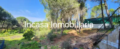 Chalet for sale in Los Pinos de Valverde del Camino, in a beautiful area surrounded by nature. The property features a spacious living room with a fireplace, three double bedrooms, a bathroom with a shower tray, a kitchen with access to the barbecue area, a front terrace, a swimming pool, and a large plot with olive trees, fruit trees, a chicken coop, and a spacious garage. photo 20