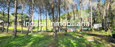 Chalet for sale in Los Pinos de Valverde del Camino, in a beautiful area surrounded by nature. The property features a spacious living room with a fireplace, three double bedrooms, a bathroom with a shower tray, a kitchen with access to the barbecue area, a front terrace, a swimming pool, and a large plot with olive trees, fruit trees, a chicken coop, and a spacious garage. photo 24