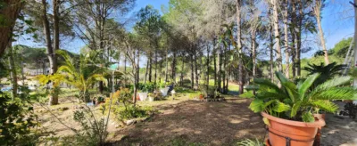 Chalet for sale in Los Pinos de Valverde del Camino, in a beautiful area surrounded by nature. The property features a spacious living room with a fireplace, three double bedrooms, a bathroom with a shower tray, a kitchen with access to the barbecue area, a front terrace, a swimming pool, and a large plot with olive trees, fruit trees, a chicken coop, and a spacious garage. photo 22