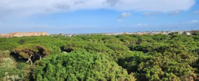 Apartment for sale in Punta Umbría photo 19