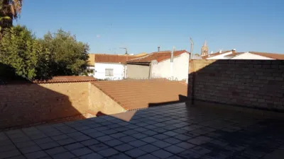 House in the Center photo 3