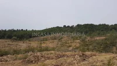 Rustic Finca in Raboconejo photo 2