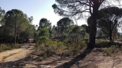 Rustic property in Los Pinos photo 2