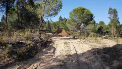 Rustic property in Los Pinos photo 4