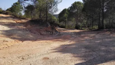 Rustic property in Los Pinos photo 5