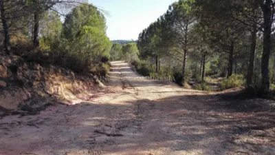 Rustic property in Los Pinos photo 6