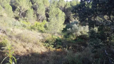 Rustic property in Los Pinos photo 7