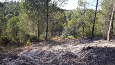 Rustic property in Los Pinos photo 8
