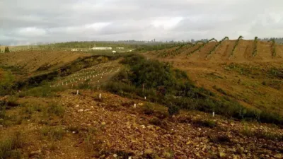 Rustic Farm in El Empalme photo 10