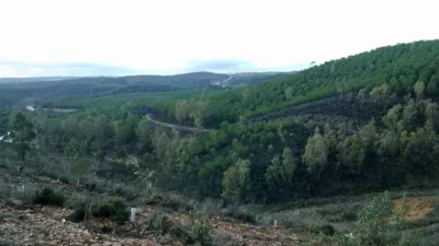 Rustic Farm in El Empalme photo 11