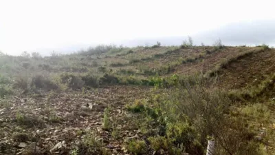 Rustic Farm in El Empalme photo 4