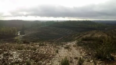 Rustic Farm in El Empalme photo 6