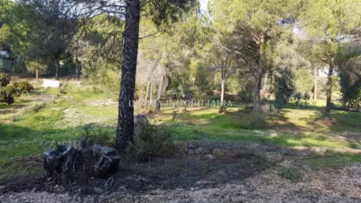Rustic Finca in Navahermosa photo 3