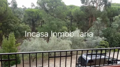 Chalet in Los Pinos photo 16