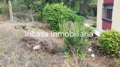 Chalet in Los Pinos photo 13