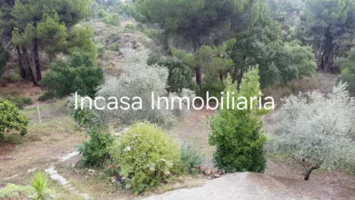 Chalet in Los Pinos photo 17