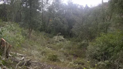 Rustic Finca in Aguafria photo 3