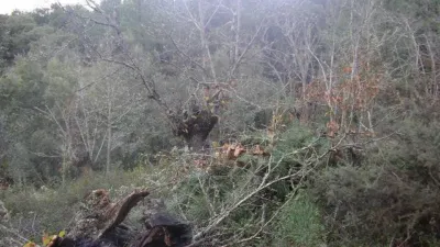 Rustic Finca in Aguafria photo 6