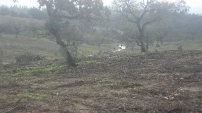 Rustic farm in El Patrás photo 6