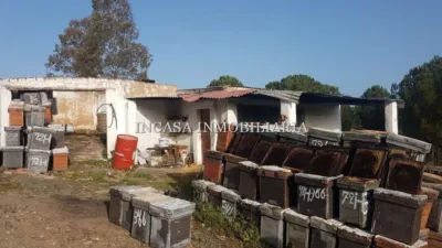 Rustic farm in Valverde del Camino photo 2
