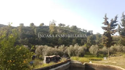 Rustic farm in Valverde del Camino photo 5